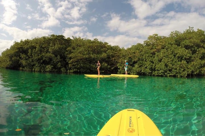 Paddleboard Combo Tour: Cenote and Reef Adventure from Tulum photo 3