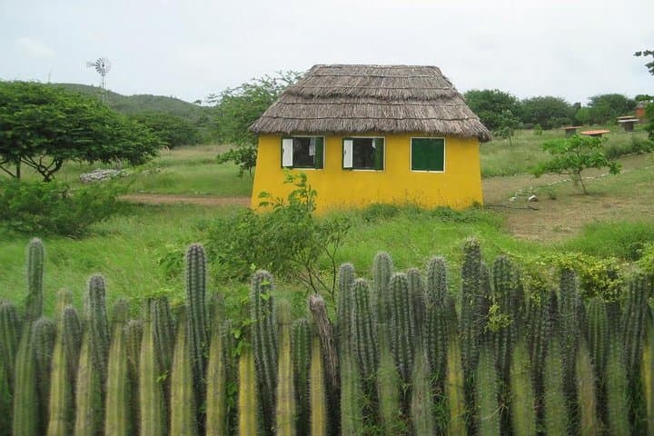 Rincon Cultural Tour: Guided Visit to Bonaire’s Oldest Village photo 2