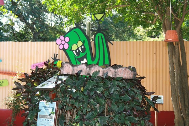 Rincon Cultural Tour: Guided Visit to Bonaire’s Oldest Village photo 3
