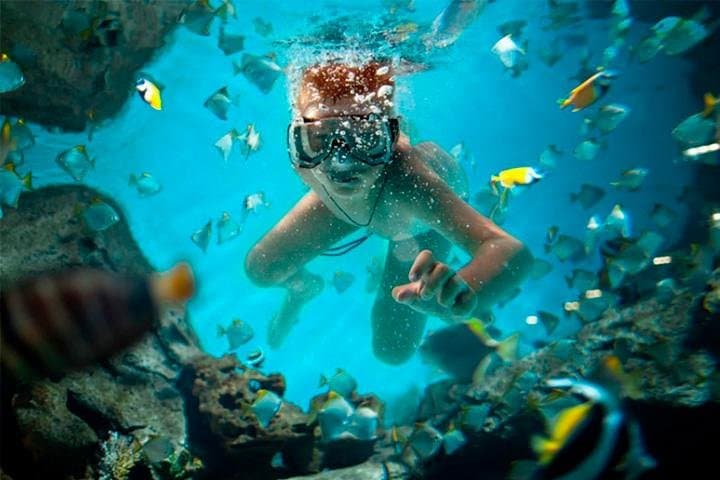 Cancun Parasail and Reef Snorkel Combo: Swim, Fly and Explore the Caribbean photo 2
