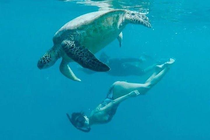 Waikiki Turtle Snorkel & Sail Aboard the Hawea Catamaran — Turtle Canyon to Diamond Head photo 2