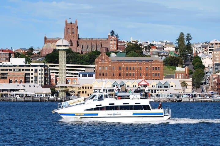 Newcastle Whale Watching Cruise: Humpback Migration Ocean Voyage photo 4