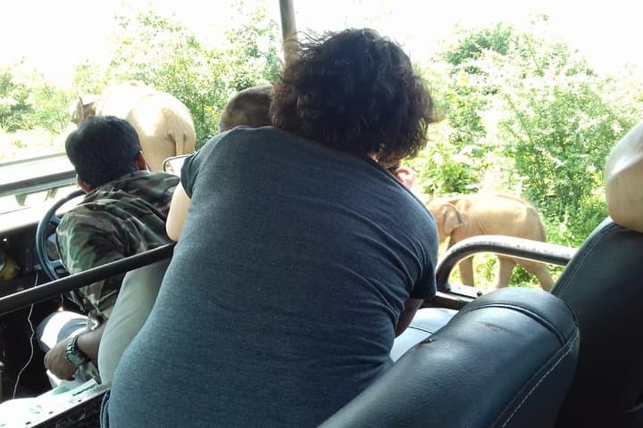 Galle to Ella via Udawalawe: Private Safari and Scenic Transfer photo 5