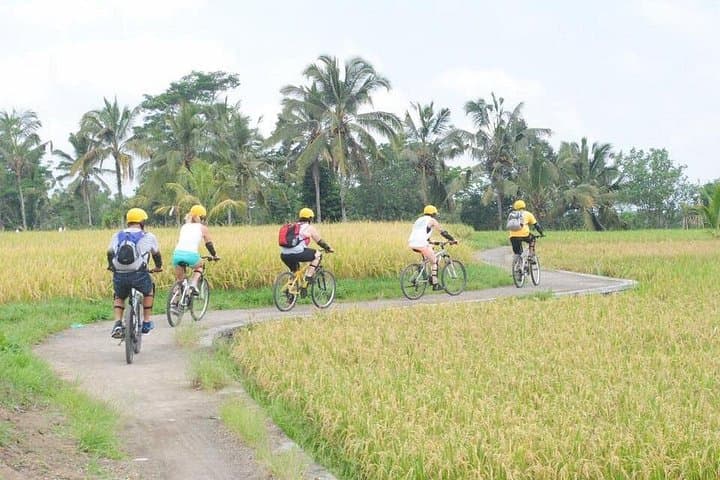 Kintamani to Ubud: 28km Downhill Cycling Tour Through Bali Villages photo 2