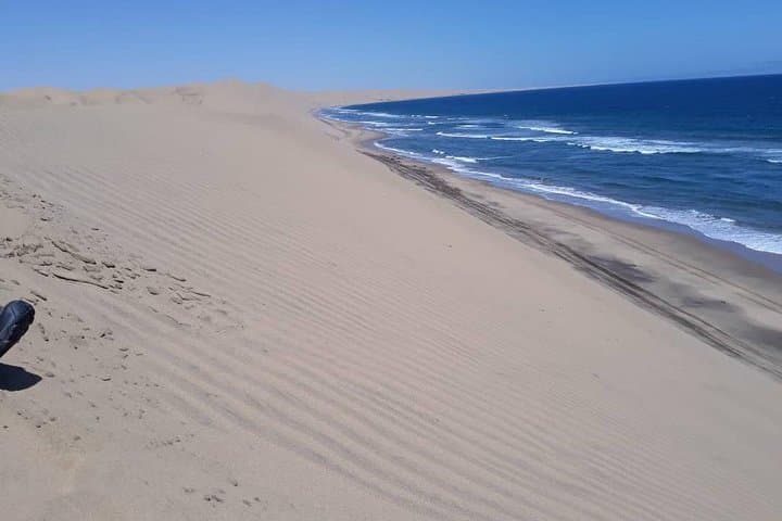 Sandwich Harbour & Welwitschia: Namib Desert Dune and Lagoon Day Tour photo 3