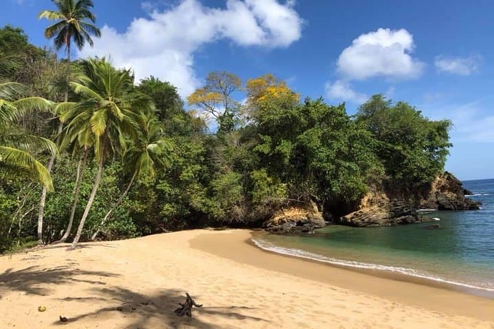 Tobago Full Island Tour: Snorkel Pirate’s Bay, Pink Sand Beach & Colonial Lookouts photo 4