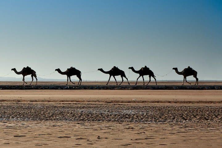 15-Day Danakil Depression & Omo Valley Cultural and Geological Expedition photo 2