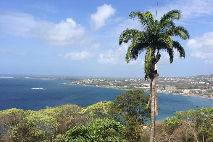 Tobago Full Island Tour: Snorkel Pirate’s Bay, Pink Sand Beach & Colonial Lookouts