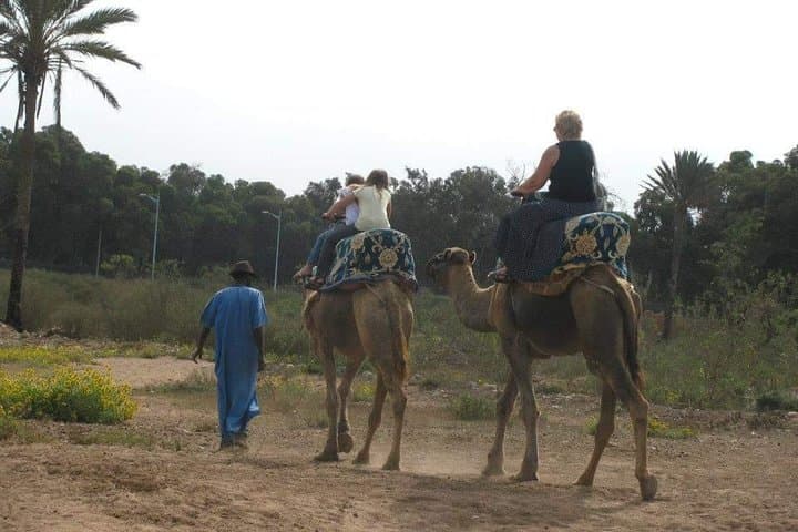 Camel Riding in Agadir: Sunset Dunes & Souss River Eucalyptus Trail photo 5