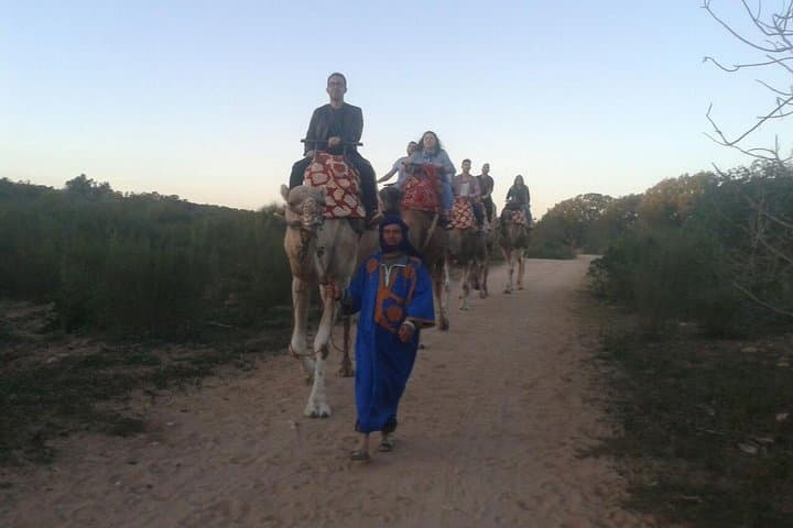 Camel Riding in Agadir: Sunset Dunes & Souss River Eucalyptus Trail photo 4