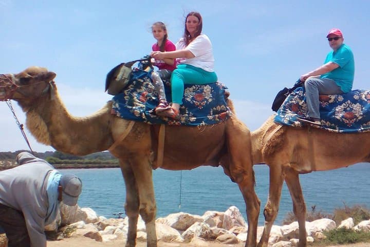 Camel Riding in Agadir: Sunset Dunes & Souss River Eucalyptus Trail photo 3