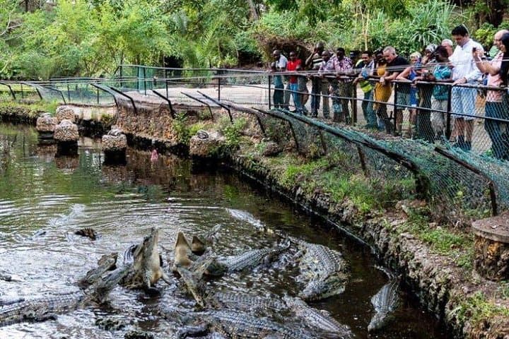 Wild Waters and Haller Park: Full-Day Waterpark and Wildlife Combo from Diani photo 4