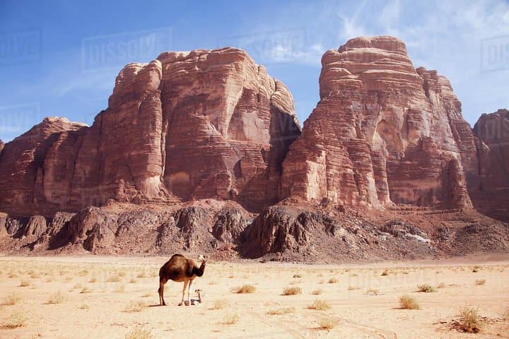 Desert Drives and Sandboarding: One-Day Wadi Rum Tour from Aqaba photo 2