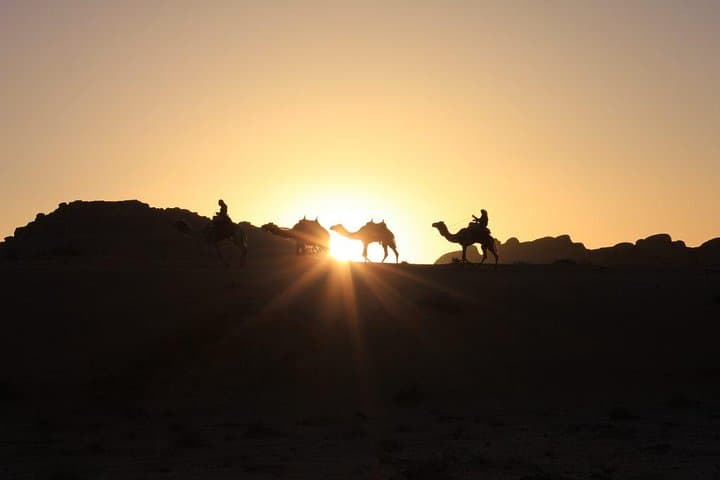 Desert Drives and Sandboarding: One-Day Wadi Rum Tour from Aqaba photo 3