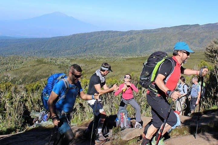 Kilimanjaro Day Trip from Arusha or Moshi — Rainforest Hike, Wildlife & Local Culture photo 4