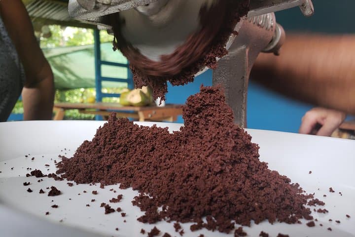 Rainforest Combo: Tenorio Wildlife, Cacao & Cortés Waterfall Day Tour photo 6