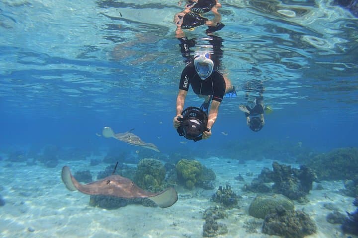 Moorea Private Boat Tour and Sea Scooter Snorkeling Trip photo 6