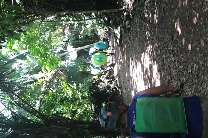 Belize Cave Tubing and Zipline Adventure from Belize City: Tubes, Caves & Canopy photo 4