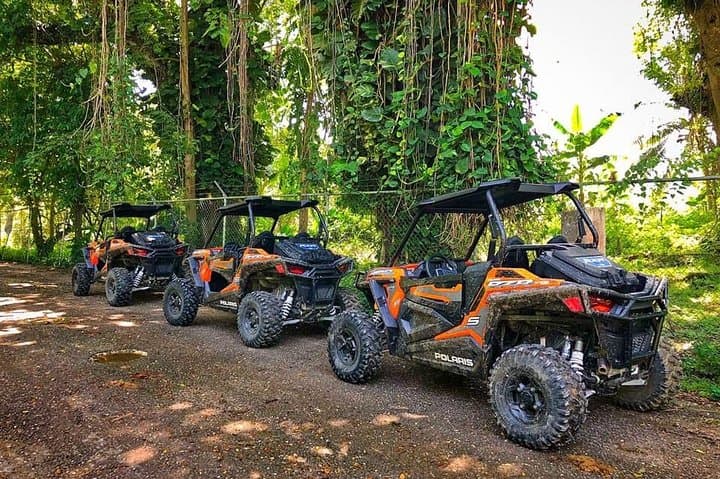 Negril ATV Safari: Ride Rivers, Local Fields & Beachside Lunch photo 2