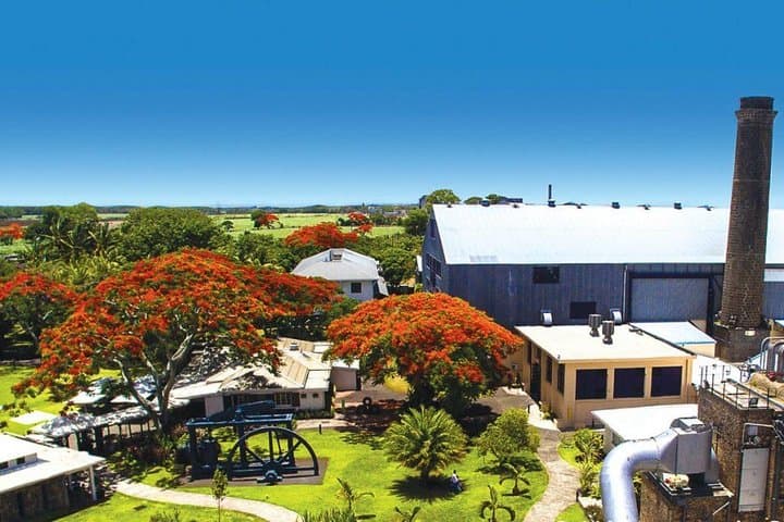 North Mauritius Full-Day Private Tour: Pamplemousses, L'Aventure du Sucre & Cap Malheureux photo 5