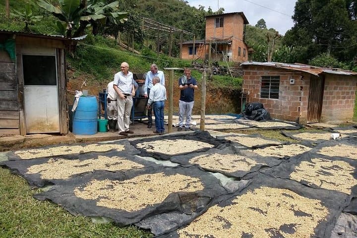 Private Coffee Tour in Colombia: Hands-On Farm Visit Near Medellín photo 1
