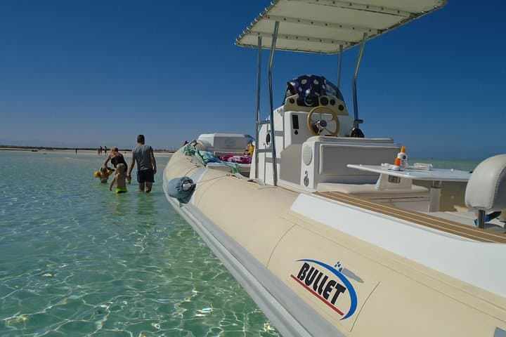 Hurghada Private Speedboat: Dolphin Watching, Snorkeling & Island Stops on the Red Sea photo 5