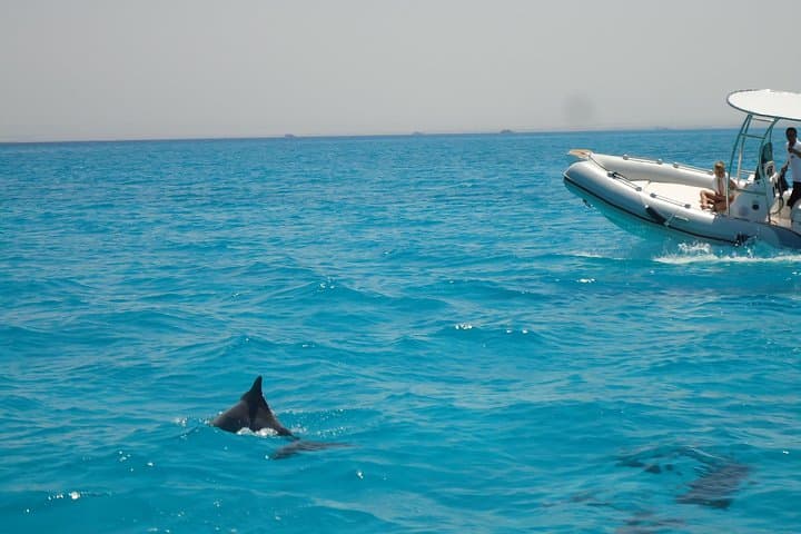 Private Speedboat Trip in Hurghada — Dolphins, Snorkeling & Island Stops photo 4