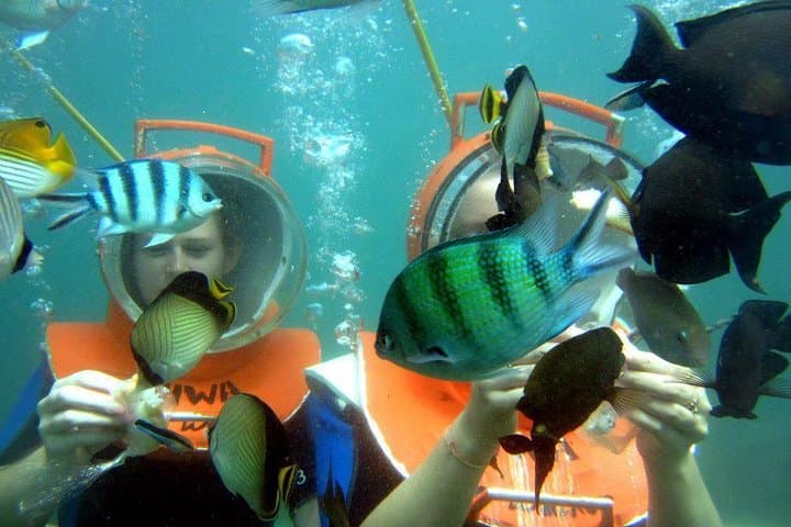 Tanjung Benoa Combo: Jetski, Fly Fish & Sea Walker Adventure photo 5