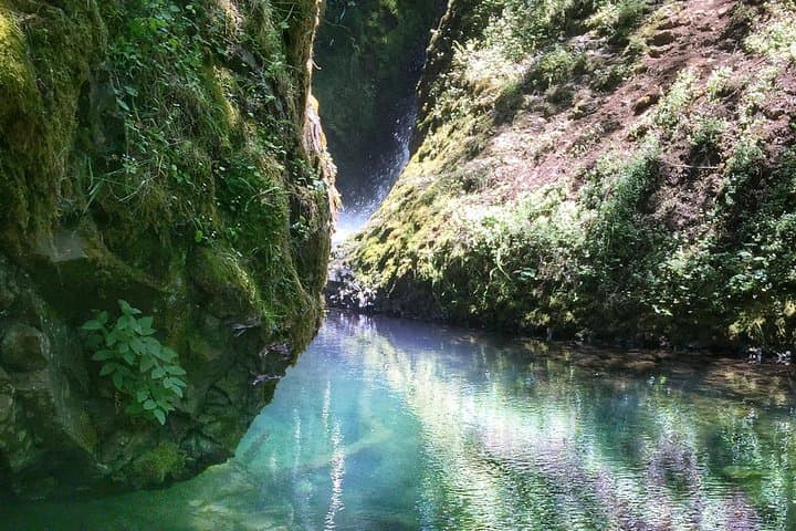 Multnomah Falls and Columbia River Gorge Half-Day Hiking Tour — Waterfalls, Basalt & Vista Guide photo 5