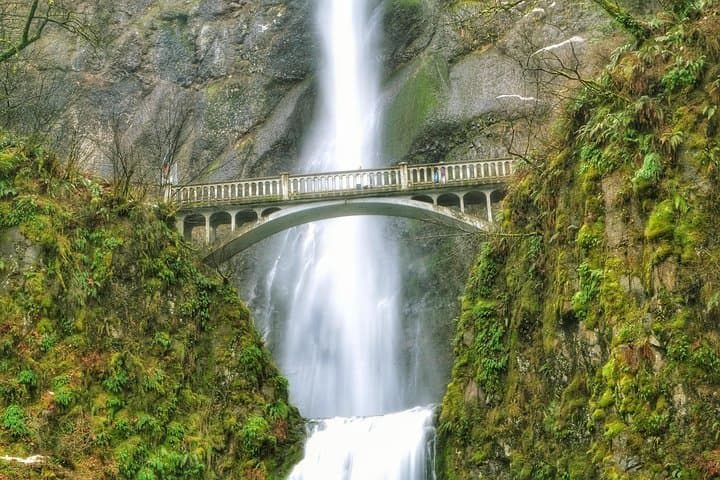 Multnomah Falls and Columbia River Gorge Half-Day Hiking Tour — Waterfalls, Basalt & Vista Guide photo 4