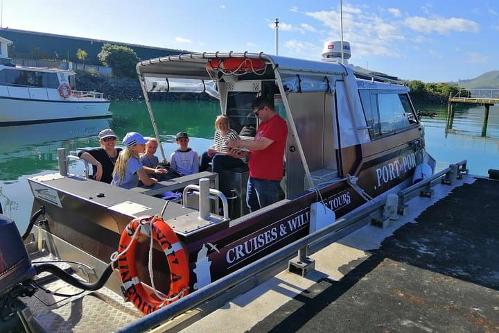 Harbour to Highlands: Scenic Ferry and Larnach Castle Tour in Dunedin photo 2