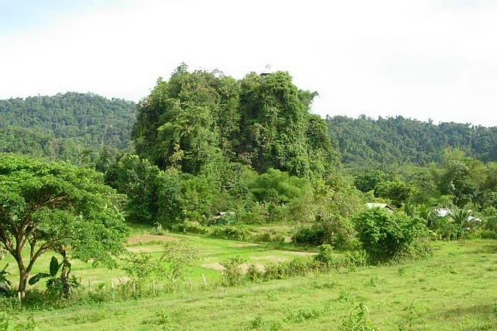 Puerto Princesa Underground River Cave Boat Tour — UNESCO World Heritage Day Trip photo 2