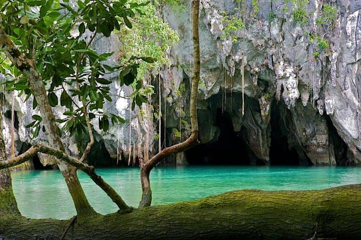 5-Day Puerto Princesa and El Nido Experience: Underground River & Bacuit Bay Island Hopping photo 2