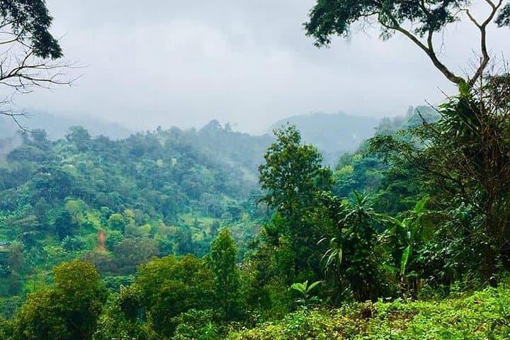 Full-Day Hiking Tour to Mount Meru Waterfall — Arusha Forest Trek photo 4