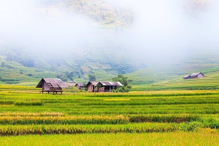 Mu Cang Chai 3-Day Trek: La Pan Tan Rice Terraces & Hmong Village Walks photo 3