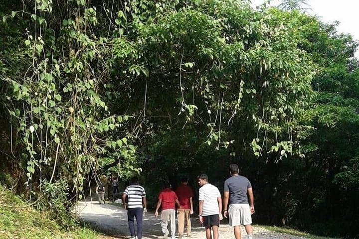 Mussoorie Nature Walk to George Everest House — Guided Morning Hike & Birding photo 1