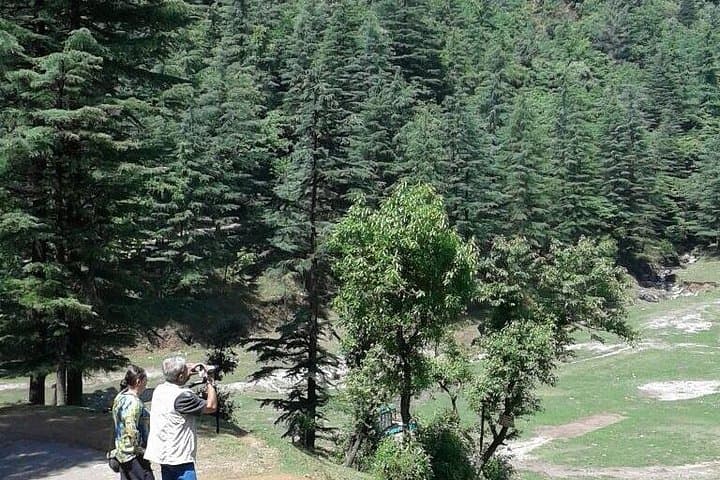 Mussoorie Nature Walk to George Everest House — Guided Morning Hike & Birding photo 4