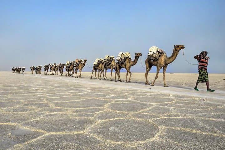 3-Day Danakil Adventure: Erta Ale Volcano & Dallol Salt Flats photo 5