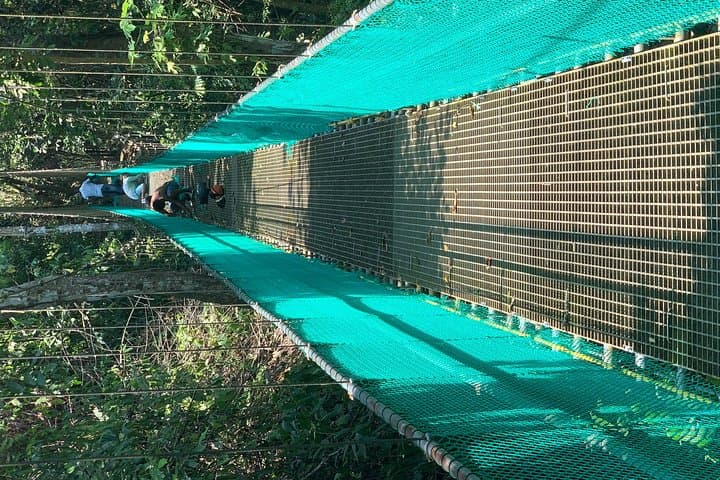 Roatan Hanging Bridges Eco Walk & West Bay Beach Break — Shore Excursion Guide photo 3