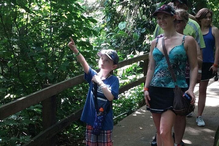 Roatan Hanging Bridges Eco Walk & West Bay Beach Break — Shore Excursion Guide photo 6