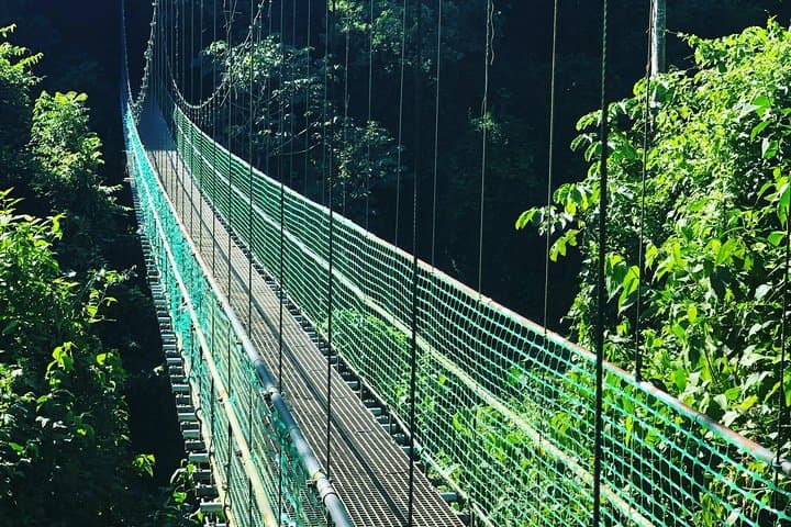 Roatan Hanging Bridges Eco Walk & West Bay Beach Break — Shore Excursion Guide