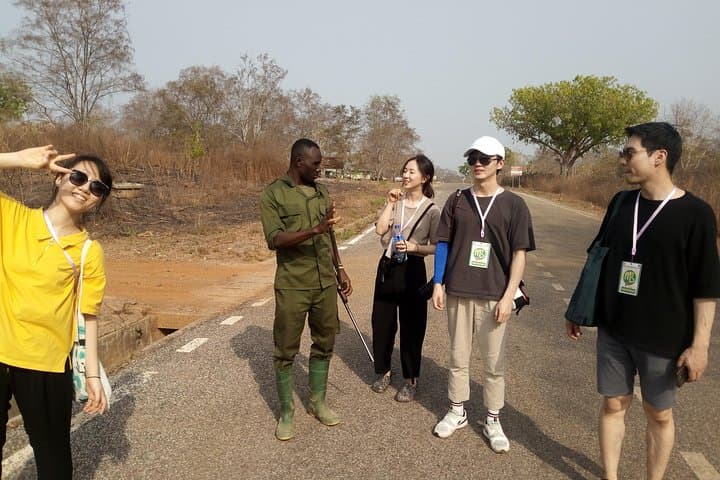 3-Day Mole National Park Safari — Walking, Canoe & Community Tours photo 3