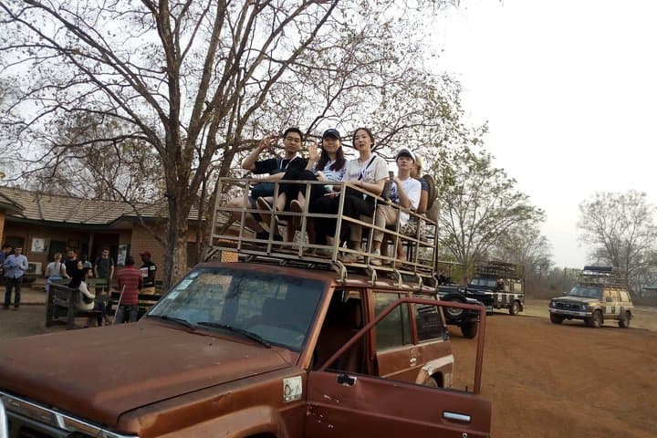3-Day Mole National Park Safari — Walking, Canoe & Community Tours photo 4