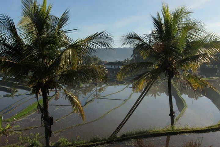 North Bali Adventure Tour: Rice Paddy Treks, Secret Waterfalls & Sleeping Buddha photo 2