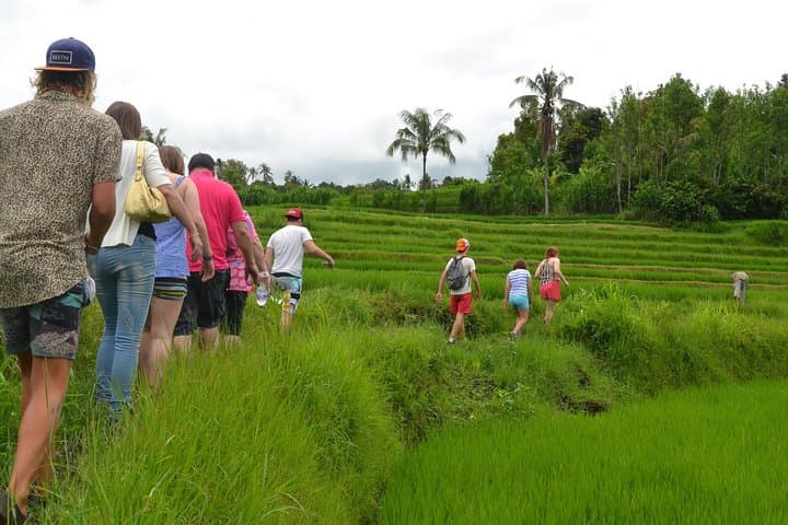 North Bali Adventure Tour: Rice Paddy Treks, Secret Waterfalls & Sleeping Buddha photo 6