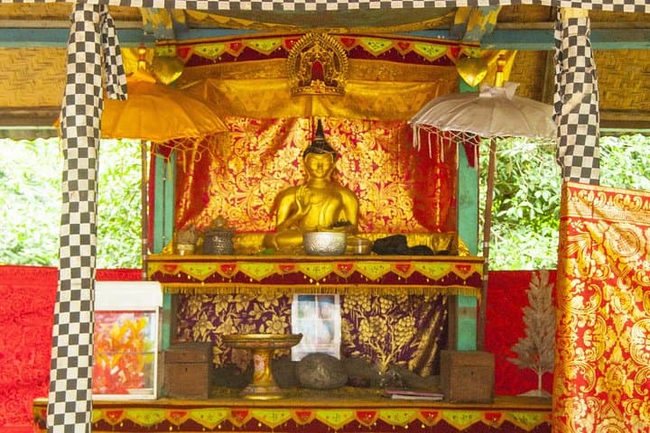 North Bali Adventure Tour: Rice Paddy Treks, Secret Waterfalls & Sleeping Buddha photo 5