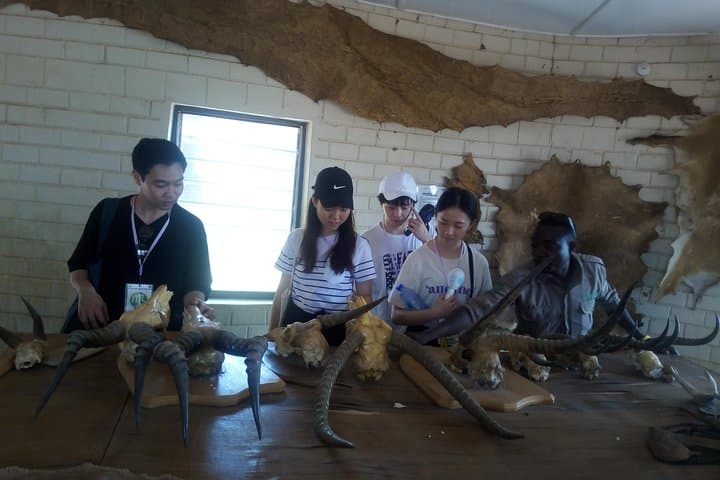 5-Day Mole National Park Safari: Wildlife, Walking & Community Tours photo 4