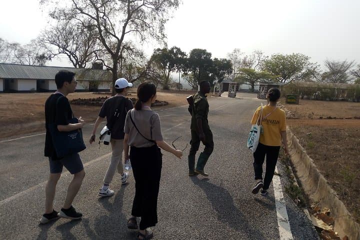 5-Day Mole National Park Safari: Wildlife, Walking & Community Tours photo 6