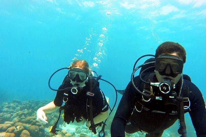 Private Dive Master 1-Tank SCUBA in Roatán — Guided Reef Dive with Transport photo 5