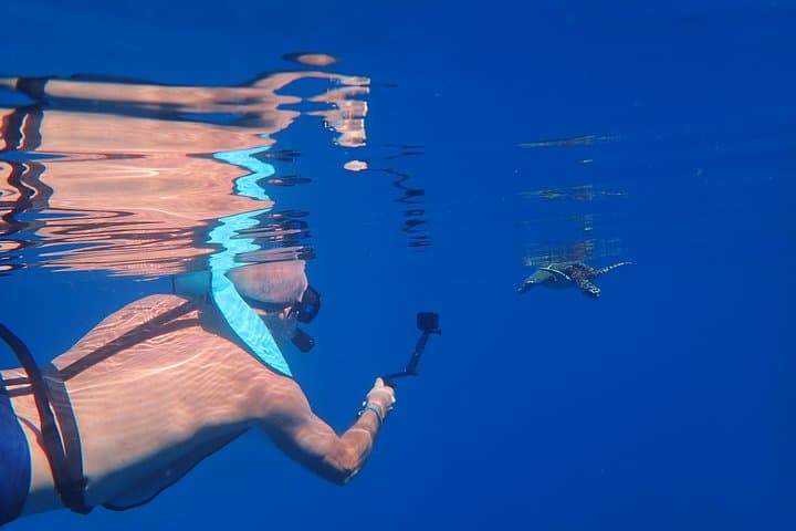 Early-Morning Turtle Snorkel at The Source — Small-Group Tour from Marina Taina photo 5